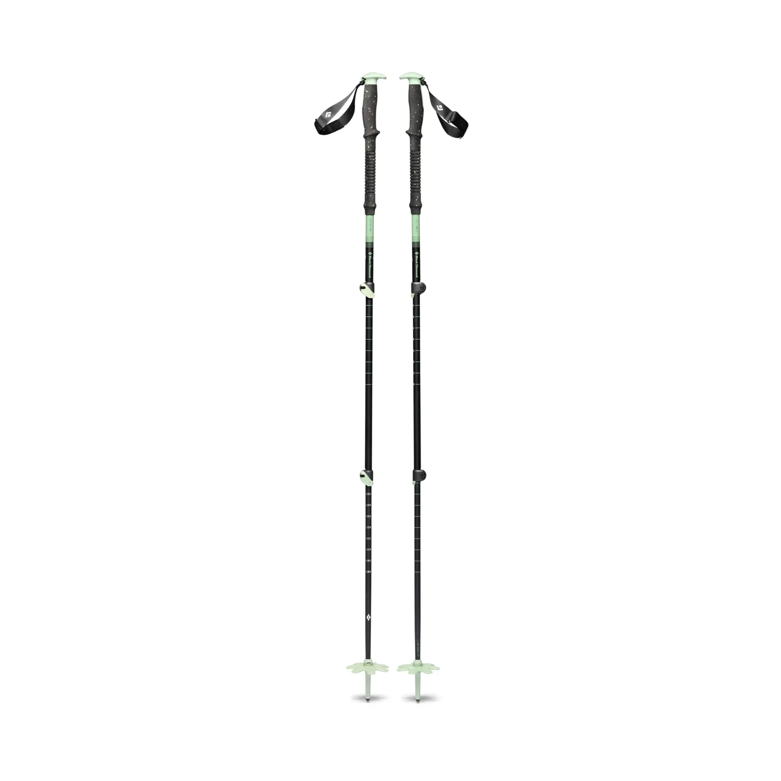 Expedition 3 Ski Poles
