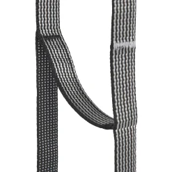 StepUp LT Ladder