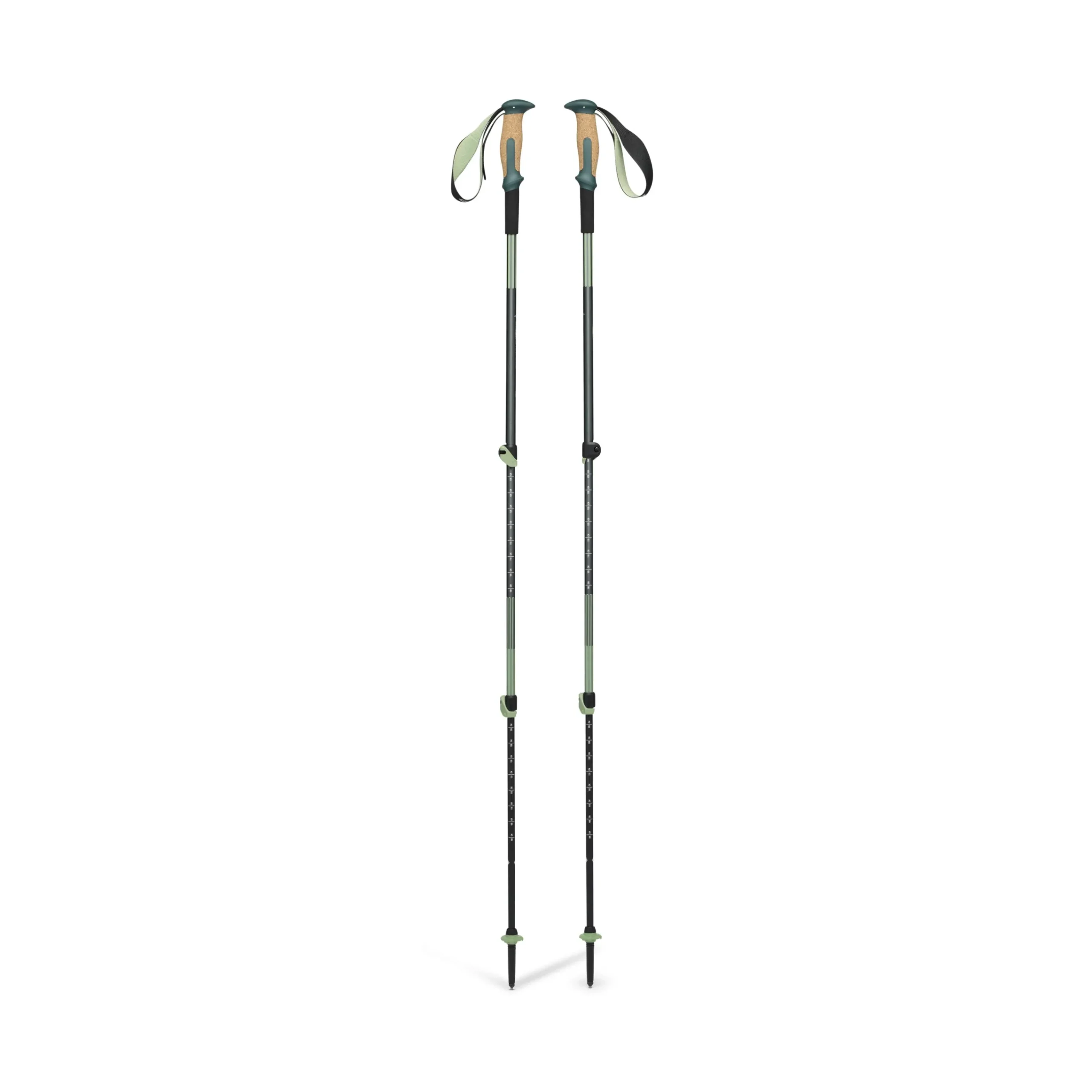 Trail Vista Shock Trekking Poles