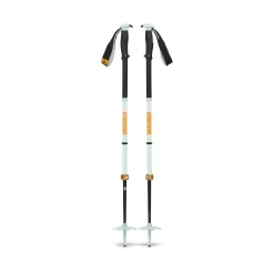 Traverse Pro Ski Poles